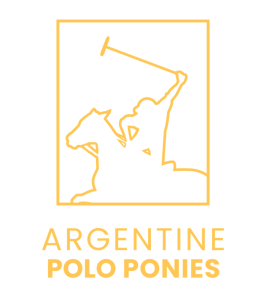 Argentine Polo Ponies 